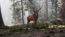 Wild Side - игра в жанре Стелс