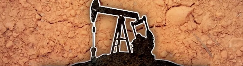 Отзыв о Automation Empire от Николай (гость)