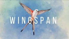 WINGSPAN - дата выхода для Nintendo Switch