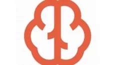 Braincup - дата выхода для Android