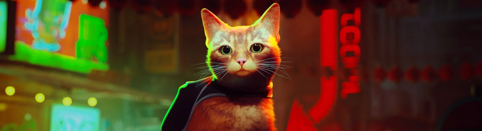 Stray — Малышка Мяу Мяу / Существа и монстры / Персонажи и игроки