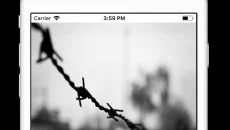 Тест на зека 2 - дата выхода для iOS