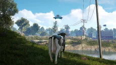 Quiet Farm - дата выхода