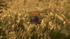 Ronin Trail - дата выхода