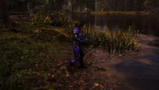 Operation Satoshi - дата выхода