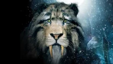 Primitive - дата выхода