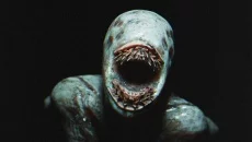 Passed Out - дата выхода для PC