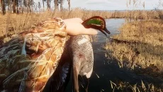 BULT: Hunting simulator - дата выхода для PC