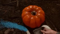 Hallowed Pumpkins - дата выхода для PC