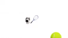Cat Tennis - Meme Game - дата выхода для Android