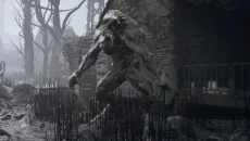 Signal - дата выхода