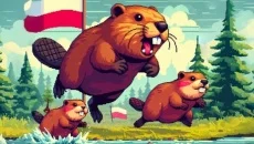 BOBR KURWA - дата выхода