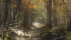 Aurora Hills: Chapter 1 - дата выхода для Android