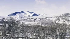 The Cold White - дата выхода