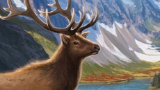 Cascadia - дата выхода