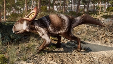 Sentinel Agency - дата выхода