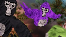 Gorilla Tag - дата выхода для Meta Quest