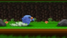 Run Bird Run!