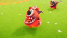 WHAT THE PAK?! - дата выхода