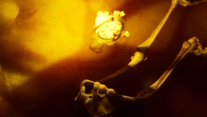 Down the shaft - дата выхода для PC