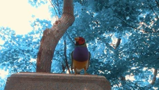 Wanderness - дата выхода