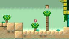 Pigbook - дата выхода