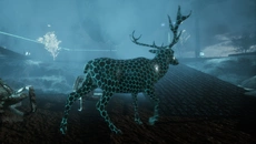 Aquaphobia - дата выхода для PC