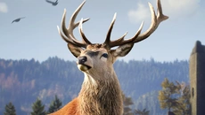 Way of the Hunter Wild Europe - дата выхода для Android