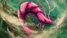 SHRIMP GAME: KRILL CONFIRMED - игра в жанре Шутер