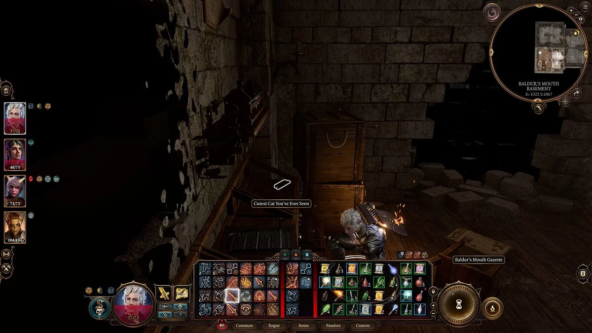Прохождение дополнительных заданий Baldur's Gate 3