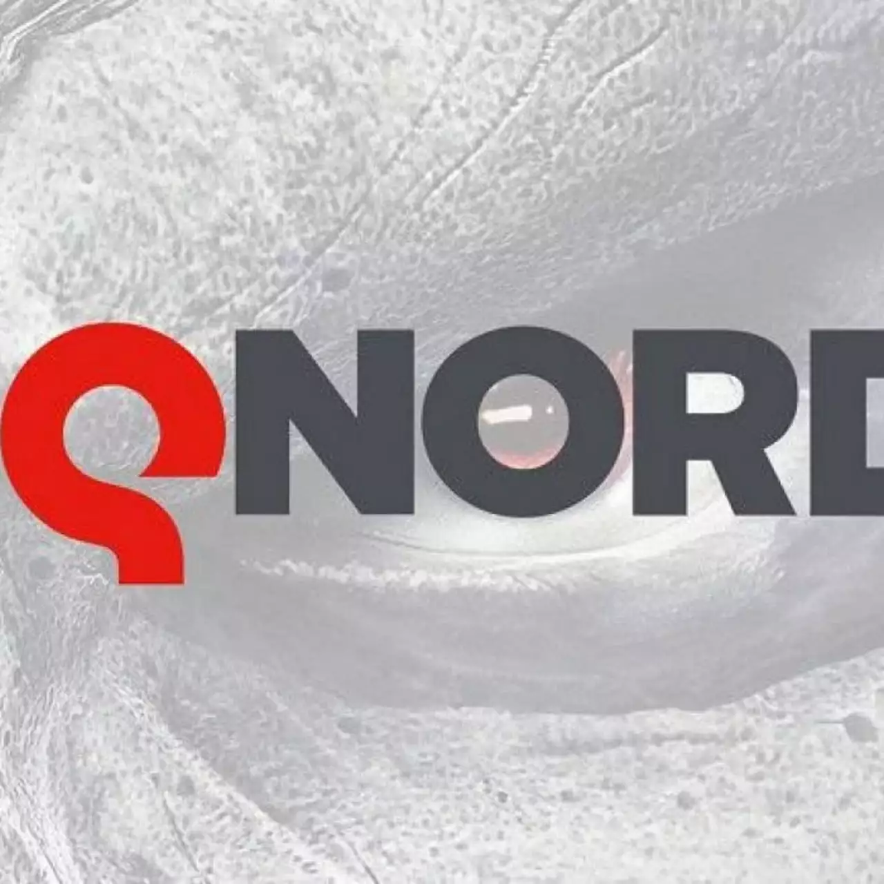 THQ Nordic возродит серию Delta Force