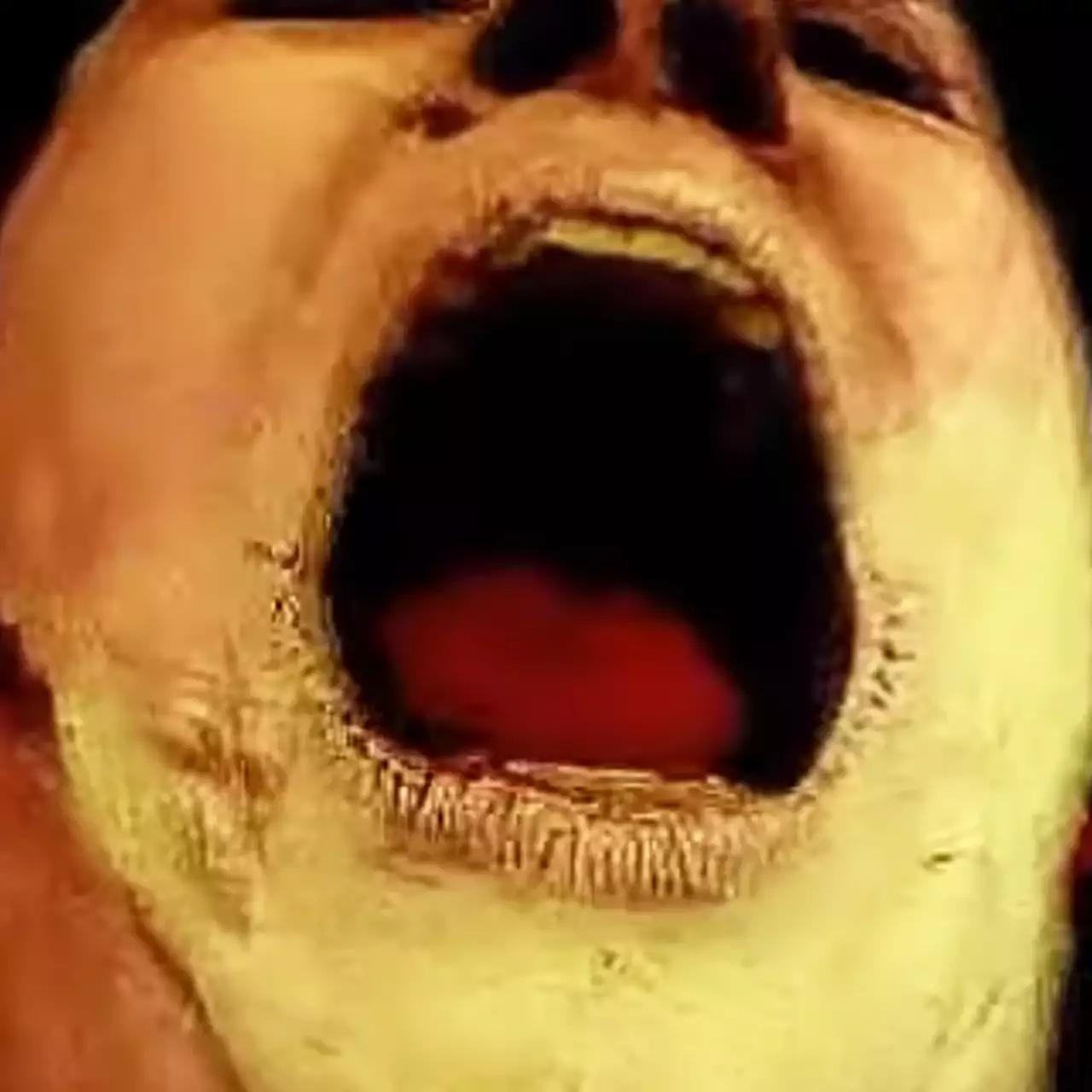 Халява: на ПК бесплатно и навсегда раздают сразу 5 игр. Среди них есть шутер в духе Doom и экшен-хоррор