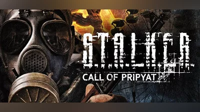 S.T.A.L.K.E.R.: Call of Pripyat (Steam key)