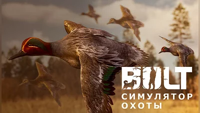 Bult: Hunting simulator